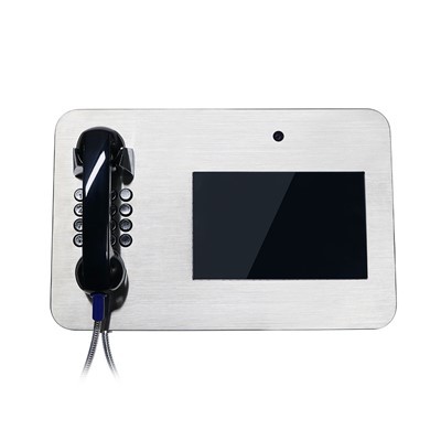 Pro-Vandal video telefon za obiske